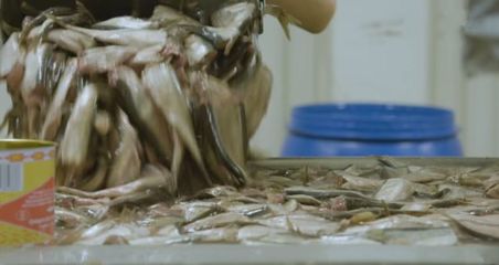 實拍:世界上最臭的工廠,每個工人都已練就“百毒不侵”的身體